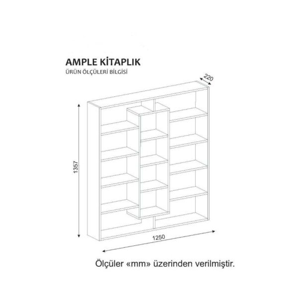 Ample - Walnut-3