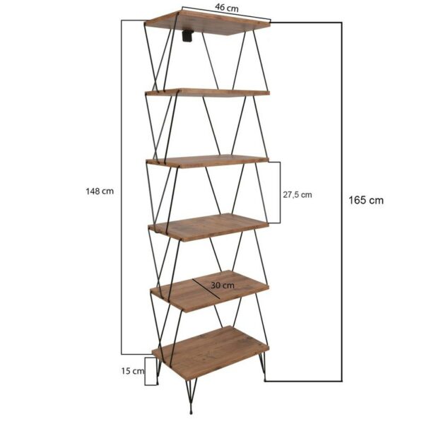 Balaban - Pine-4