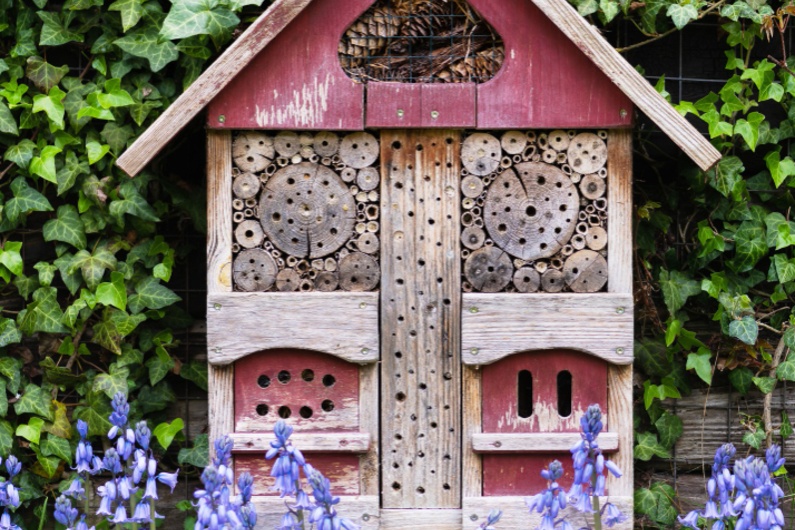 къща за пеперуди в двора