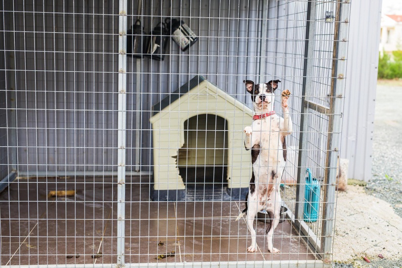 Местообитания и клетки за малки животни