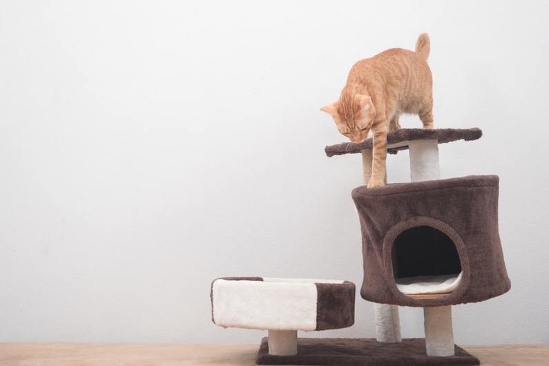 Мебели за котки