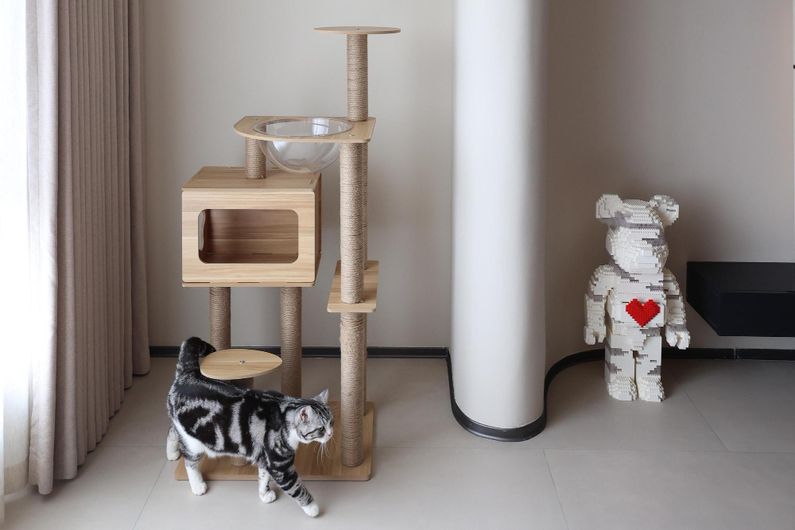 приспособления за котки