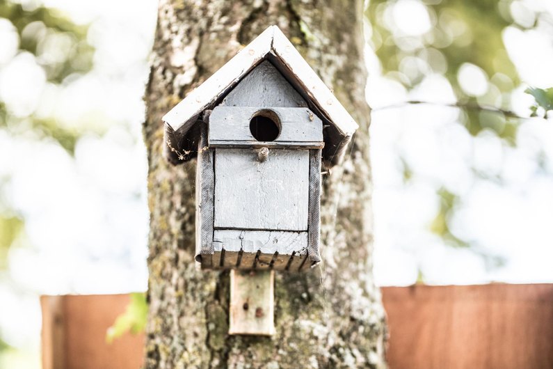 Къщички за птици