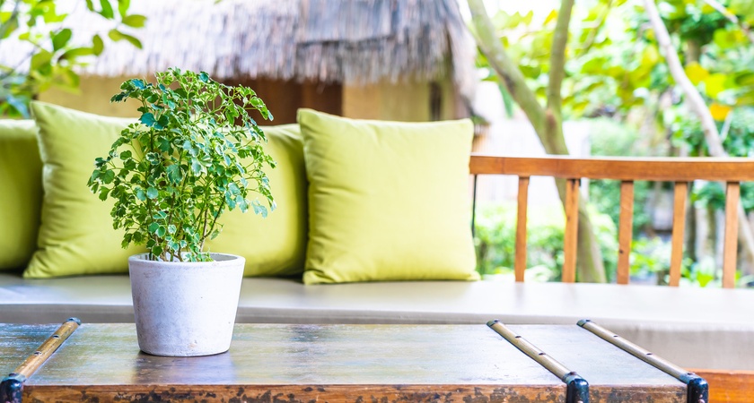 масички минималистични тераса