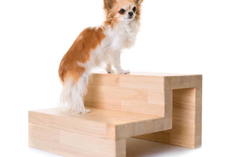 Изберете стълби и рампи за животни